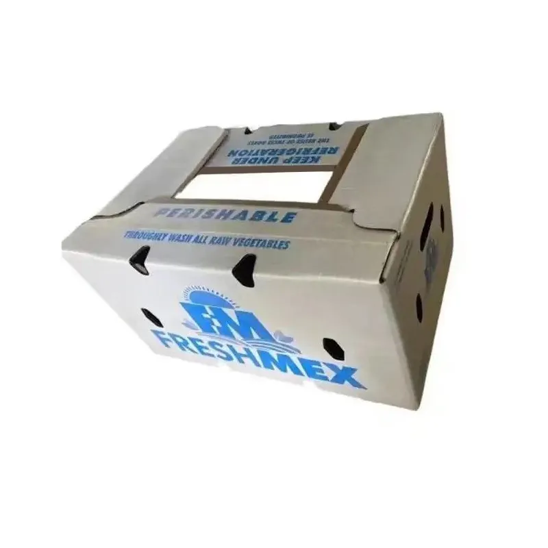 Hvorfor velge biologisk nedbrytbar vokspapirboks for bærekraftige emballasjeløsninger?